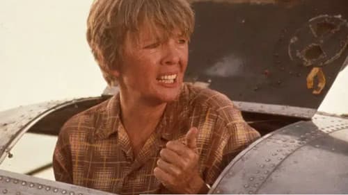 Amelia Earhart - Der letzte Flug Bild 4