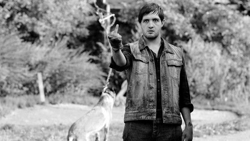 Kleine Riesen Bild 5