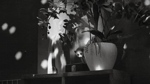 Cu li không bao giờ khóc Bild 2