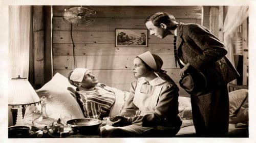 Die gelbe Flagge Bild 2