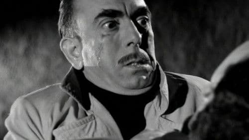 Αμαρτωλά Νειάτα Bild 5