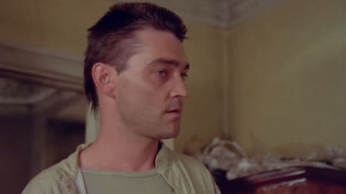 Бабочки Bild 2