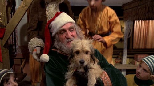 Benji's Very Own Christmas Story Bild 2