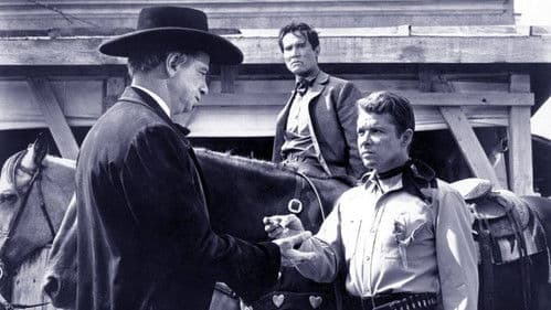 Der weiße Teufel von Arkansas Bild 1