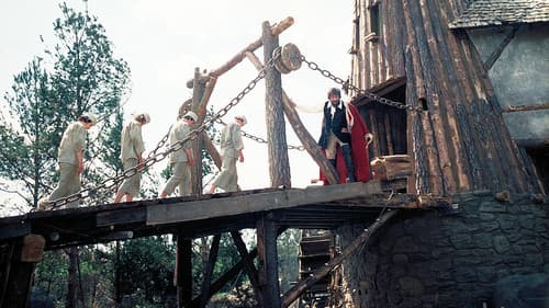 Die schwarze Mühle Bild 1