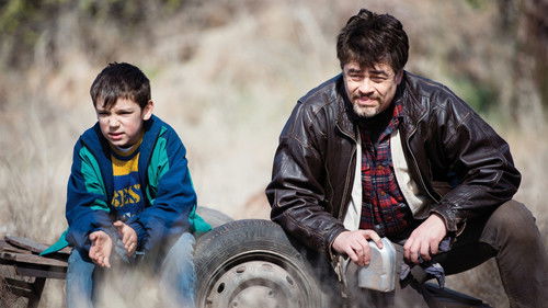 A Perfect Day Bild 8