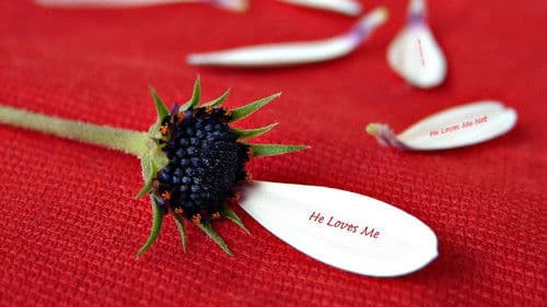 Wahnsinnig verliebt Bild 5