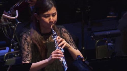 NieR: Theatrical Orchestra 12020 Bild 1