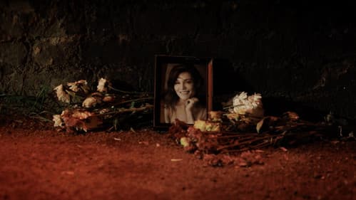 Marion's Lilies Bild 4