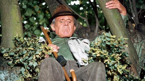 Silberdisteln Bild 1