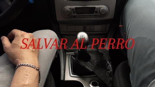 Salvar al Perro Bild 1