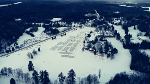 The Hockey Film Bild 1