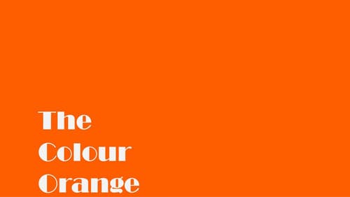 The Colour Orange Bild 6