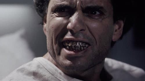 Evil Dead - Die Saat des Bösen Bild 2