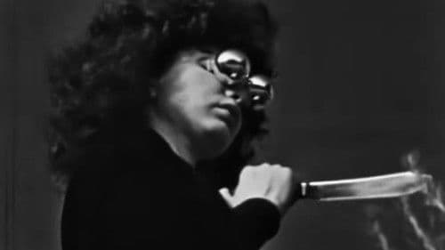 Meshes of the Afternoon Bild 8