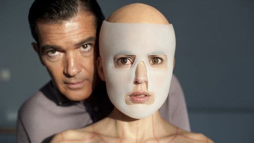 Die Haut, in der ich wohne Bild 3