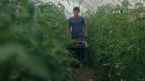 Θερμοκήπιο Bild 7