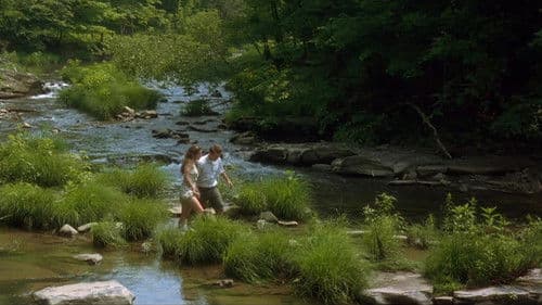 In letzter Konsequenz Bild 1