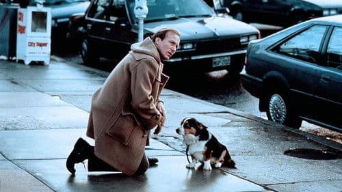 Die Reisen des Mr. Leary Bild 4