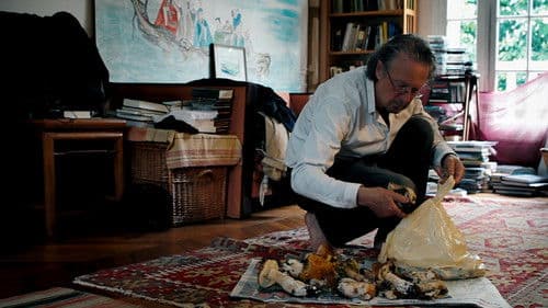 Peter Handke - Bin im Wald. Kann sein, dass ich mich verspäte Bild 3