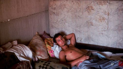 A Vizinhança do Tigre Bild 1