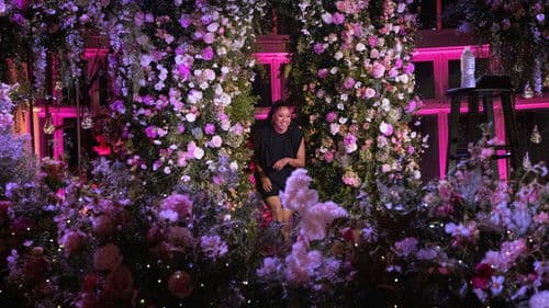 Phoebe Robinson: Sorry, Harriet Tubman Bild 4