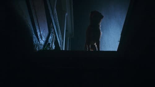Good Boy - Trust His Instincts Bild 8