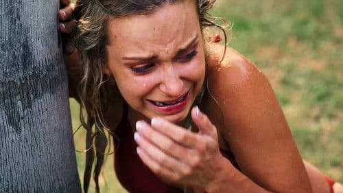 Shark Warning Bild 2