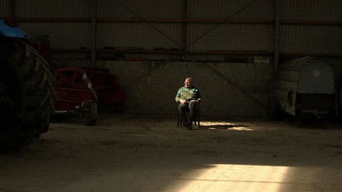 Von Bananenbäumen träumen Bild 3