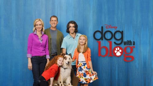 Hund mit Blog Bild 7