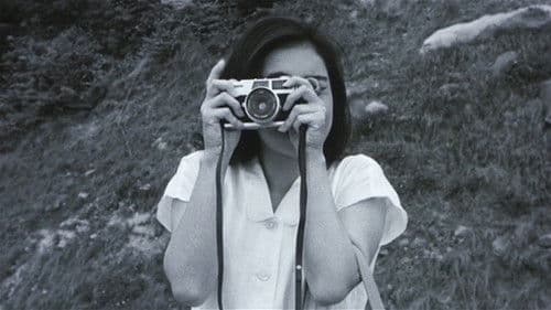 His Motorbike, Her Island Bild 1