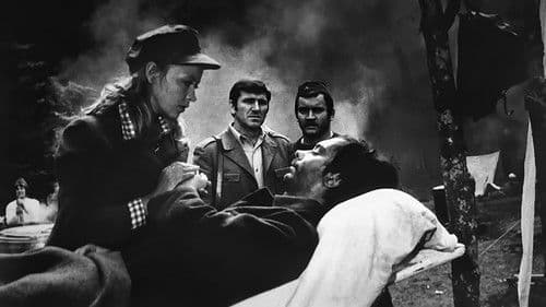 Die fünfte Offensive Bild 3