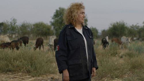 Manto de gemas Bild 3