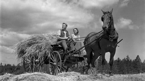 The Romance of Rosy Ridge Bild 2