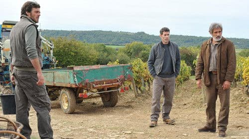 Premiers crus Bild 2