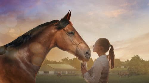 Mein Pferd Holly Bild 2