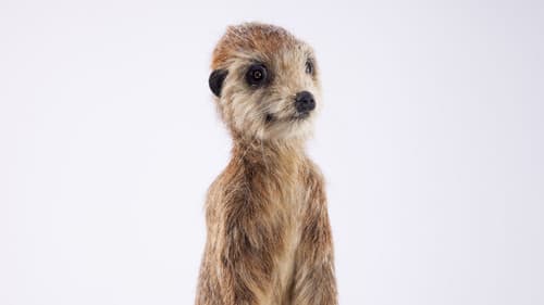 Spione im Tierreich Bild 4