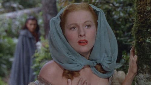 Der Pirat und die Dame Bild 1