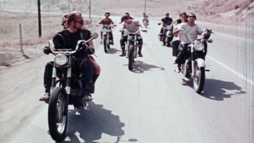 Bad, Bad, Gang! Bild 1