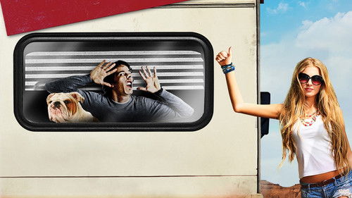 American Idiots Bild 1