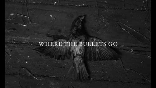Where the Bullets Go Bild 1