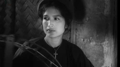 Ngày Lễ Thánh Bild 4