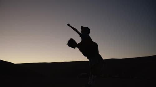 Estrellas del Desierto Bild 4