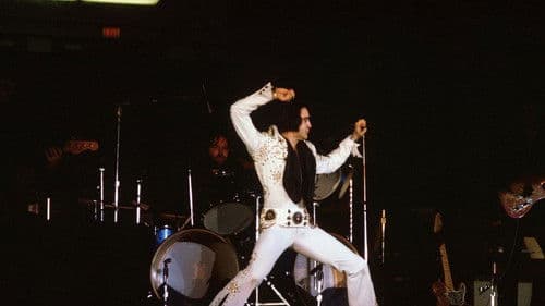 Elvis on Tour Bild 3