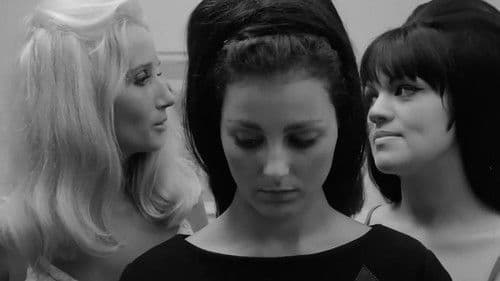 Desire Under The Palms Bild 1