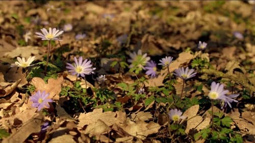 Μισαγαπιστές Bild 3