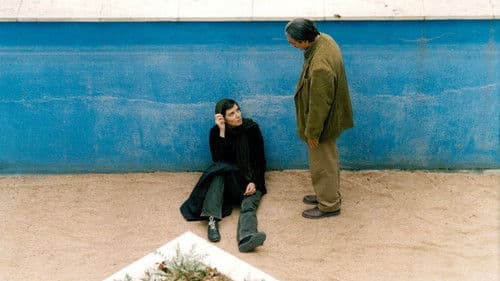 سیمای زنی در دوردست Bild 2