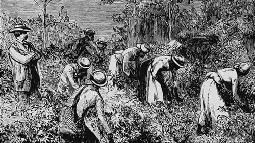 The Long Shadow Bild 1