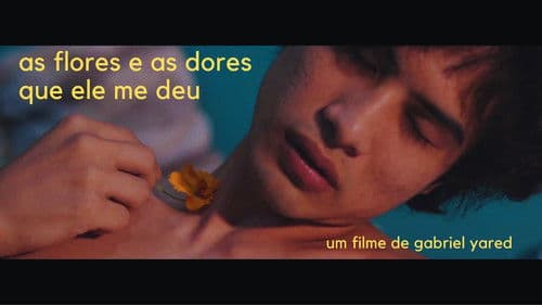 as flores e as dores que ele me deu Bild 1