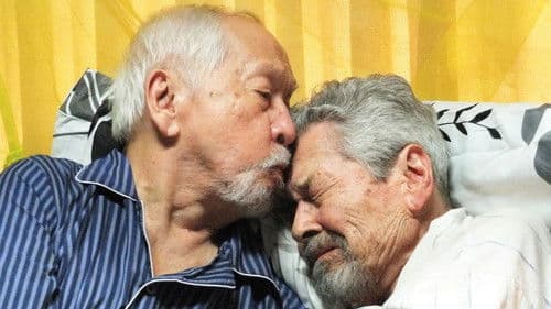 Rainbow's Sunset Bild 2